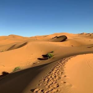 Meet your Posher, Leslie